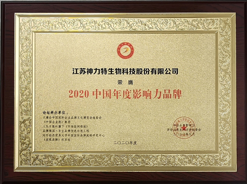 6、2020中國年度影響力品牌.jpg